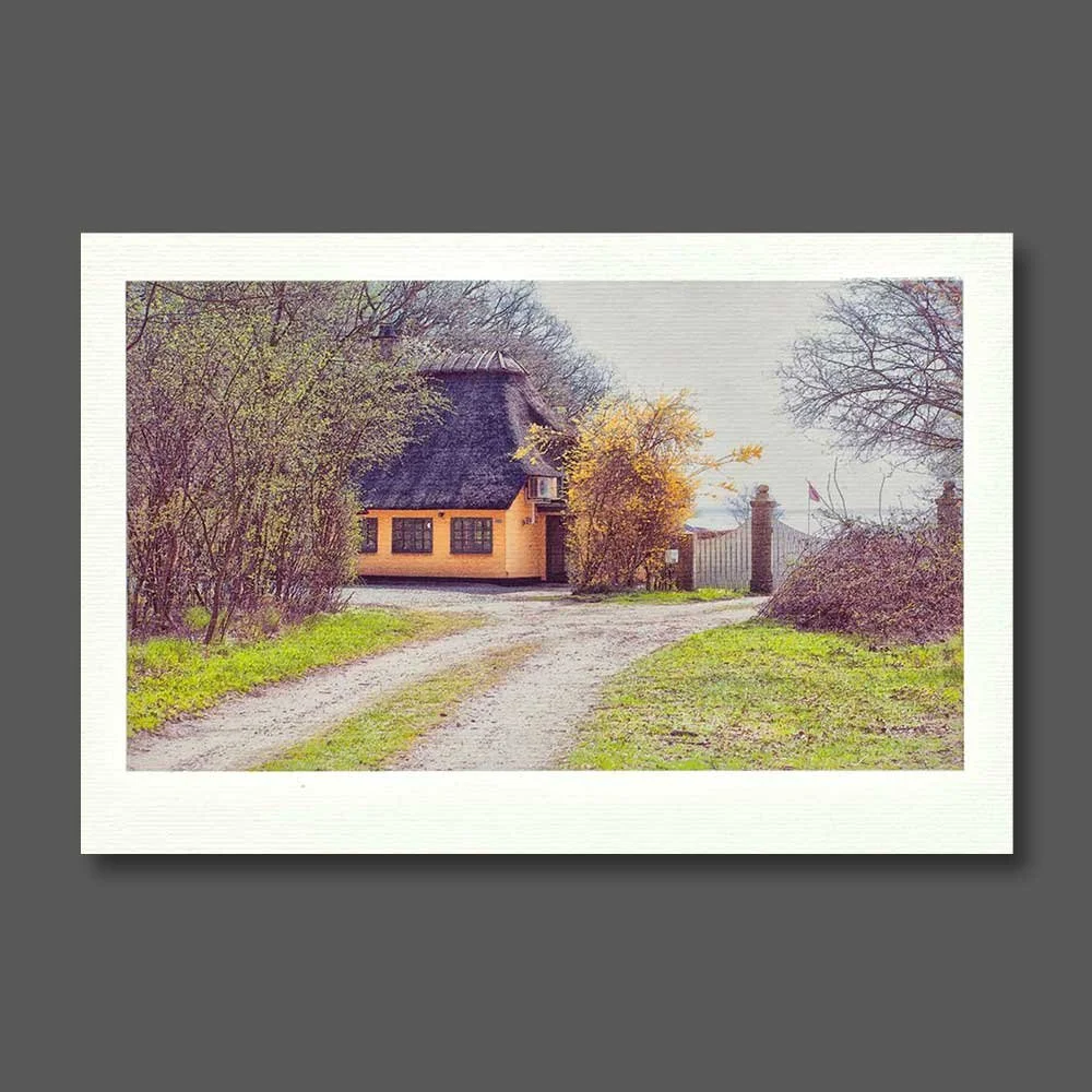 et-sted-i-skoven.jpg
