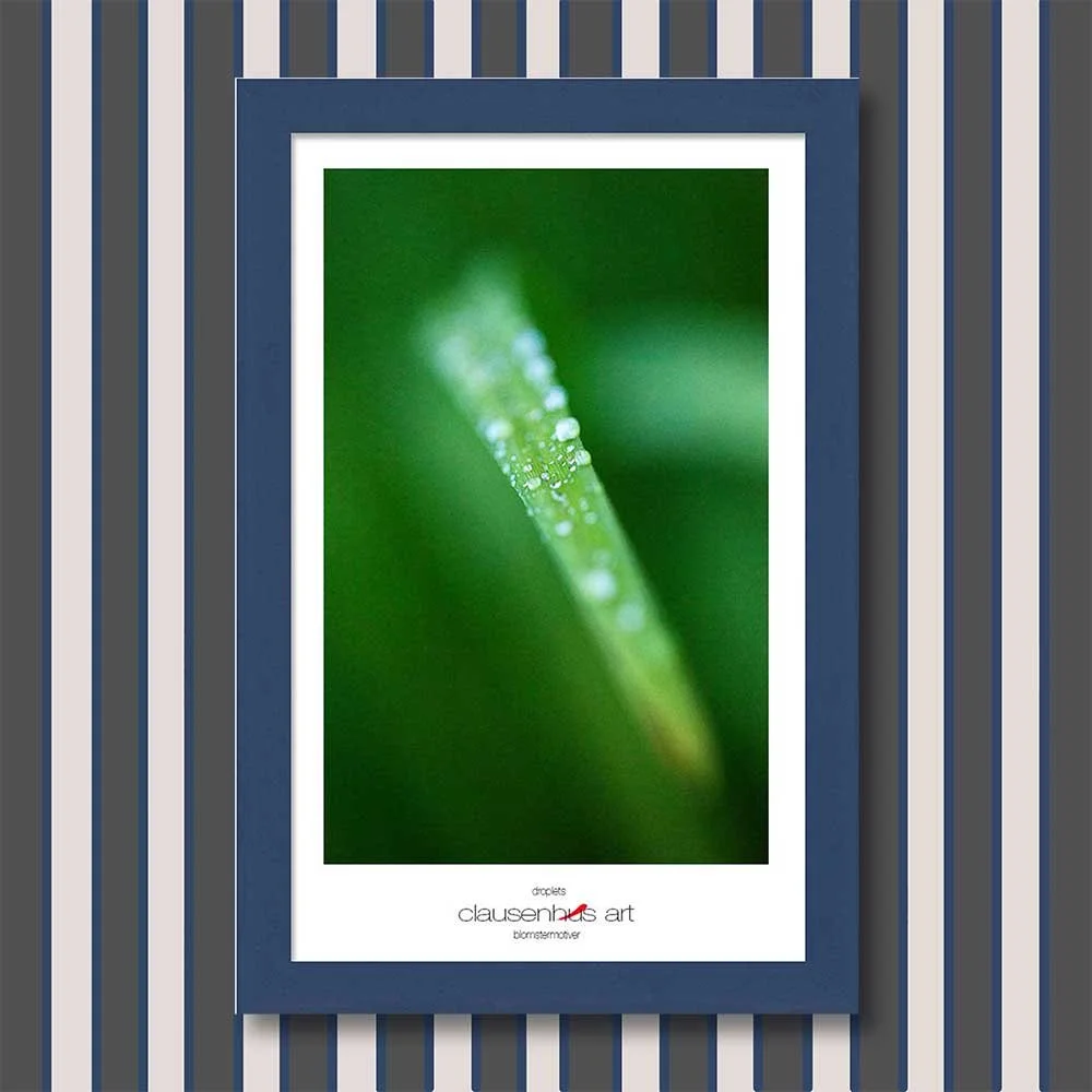 droplets-copy.jpg