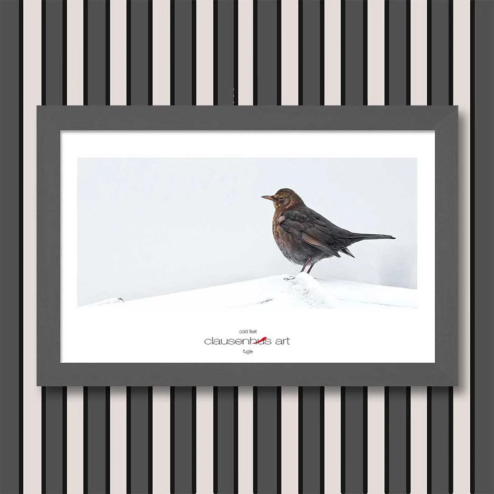 cold-feet-copy.jpg