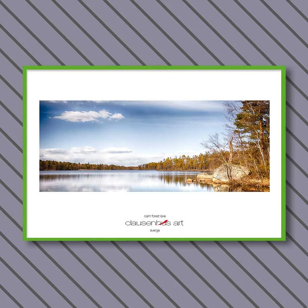 calm-forest-lake-copy.jpg