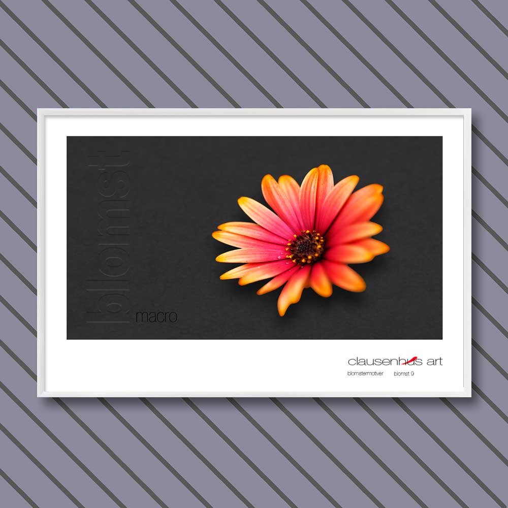 blomst-9.jpg