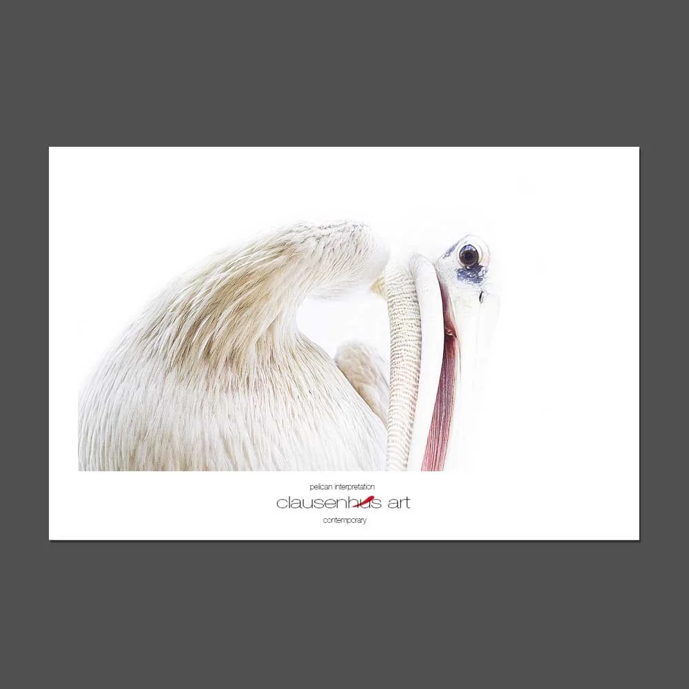 pelican-interpretation.jpg