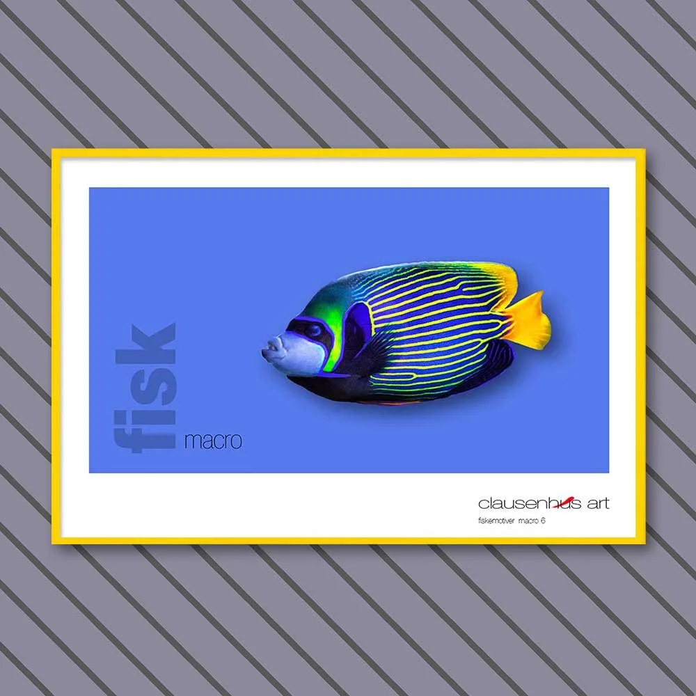 fiskemotiv-6-copy.jpg