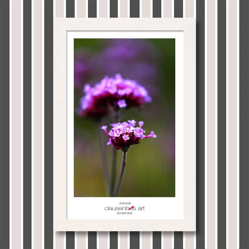 small-purple-copy.jpg