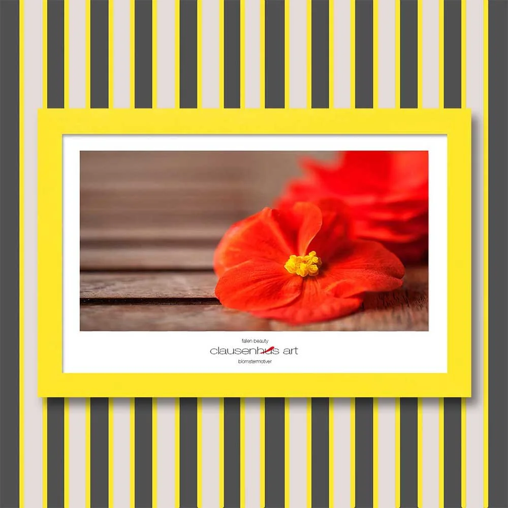 fallen-beauty-copy.jpg
