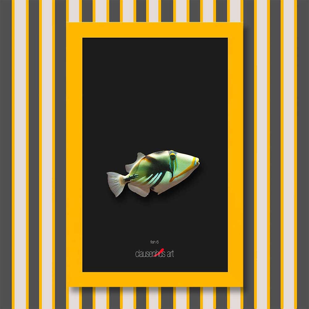 fish-6-copy.jpg