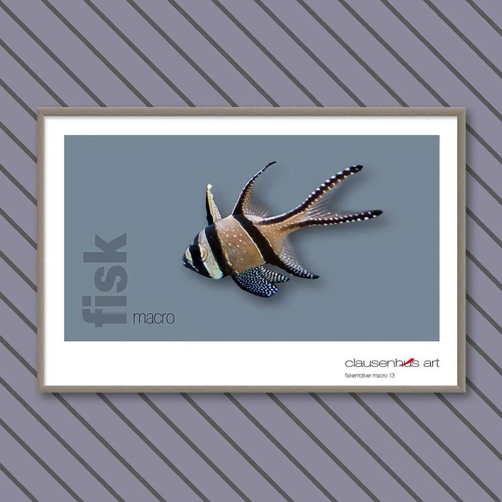 fiskemotiv-13-copy.jpg
