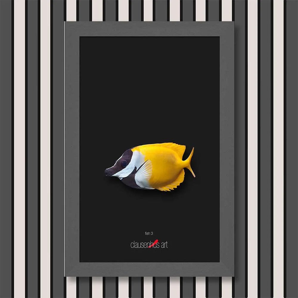 fish-3-copy.jpg