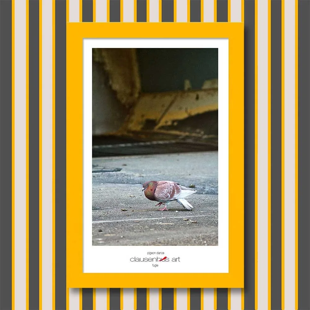 pigeon-dance-copy.jpg