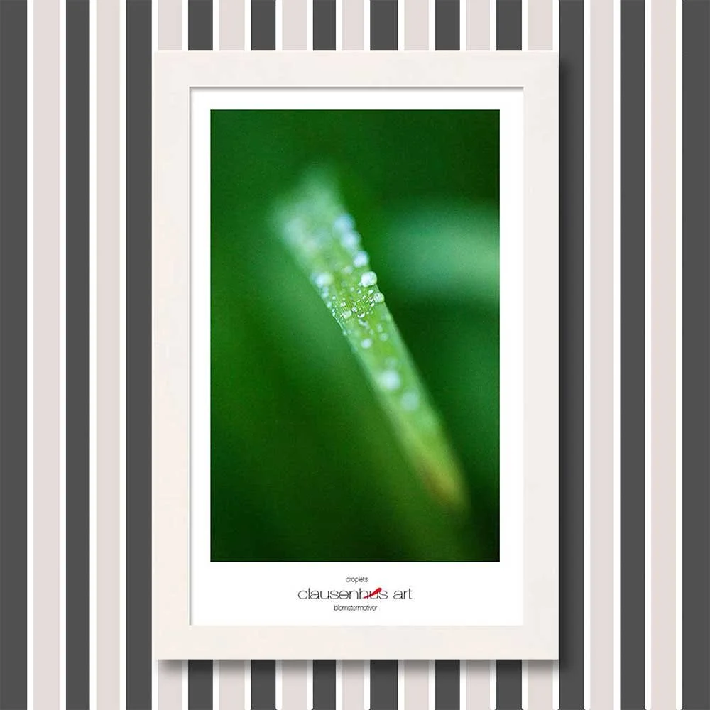 droplets-copy.jpg