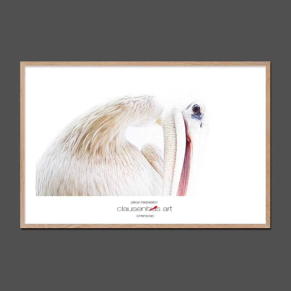 pelican-interpretation.jpg