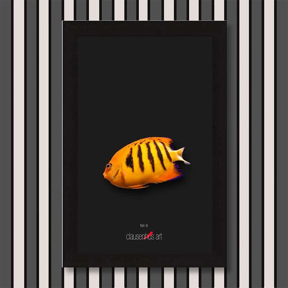 fish-8-copy.jpg