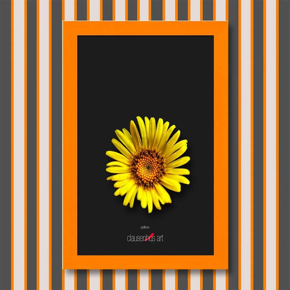 yellow-copy.jpg
