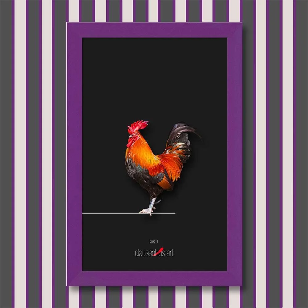 bird-1-copy.jpg