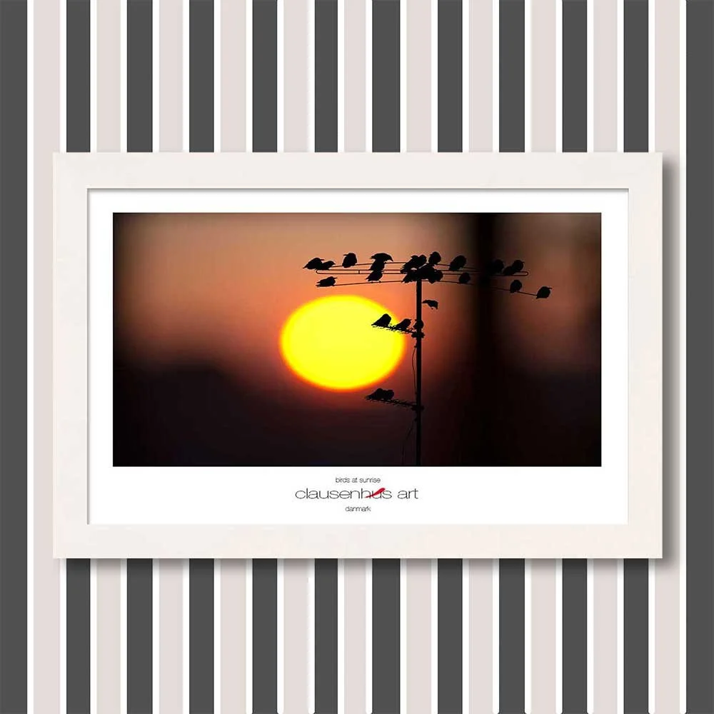 birds-at-sunrise-copy-copy.jpg