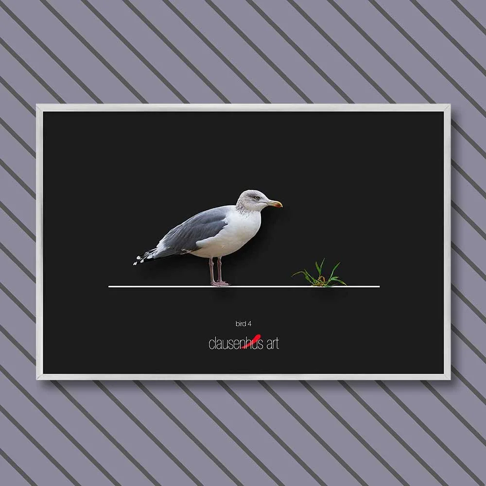 bird-4-copy.jpg