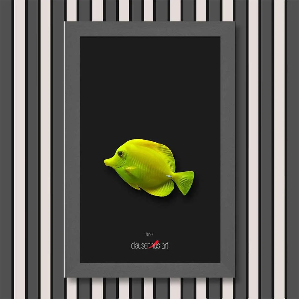 fish-7-copy.jpg