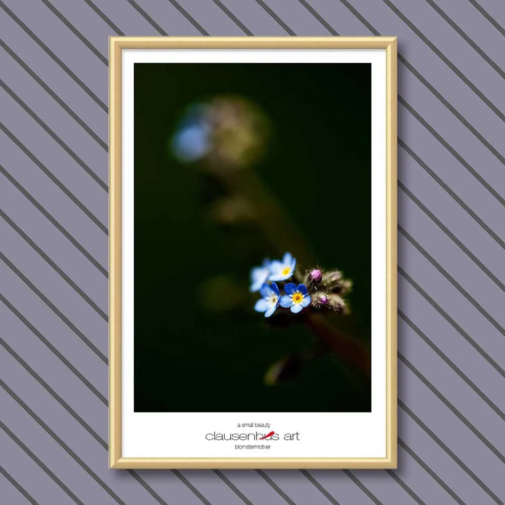 a-small-beauty-copy.jpg