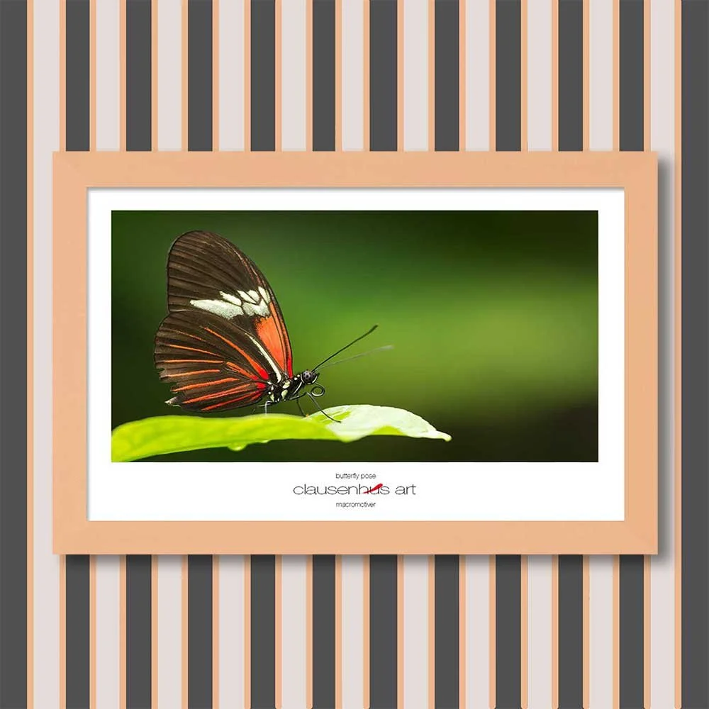 butterfly-pose-copy.jpg