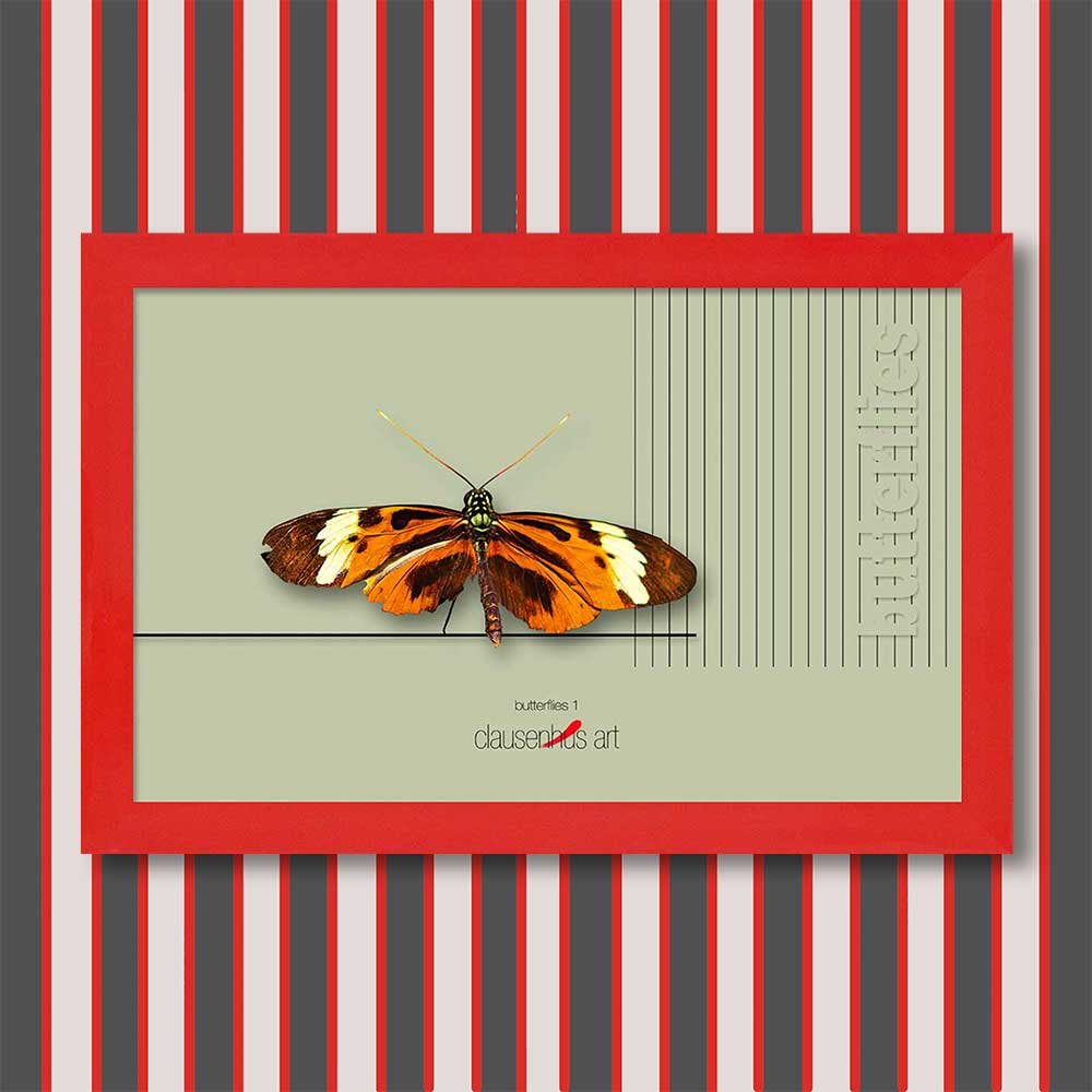 butterflies-1-copy.jpg
