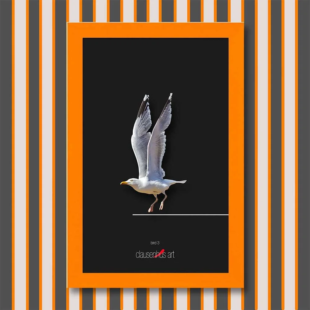 bird-3-copy.jpg