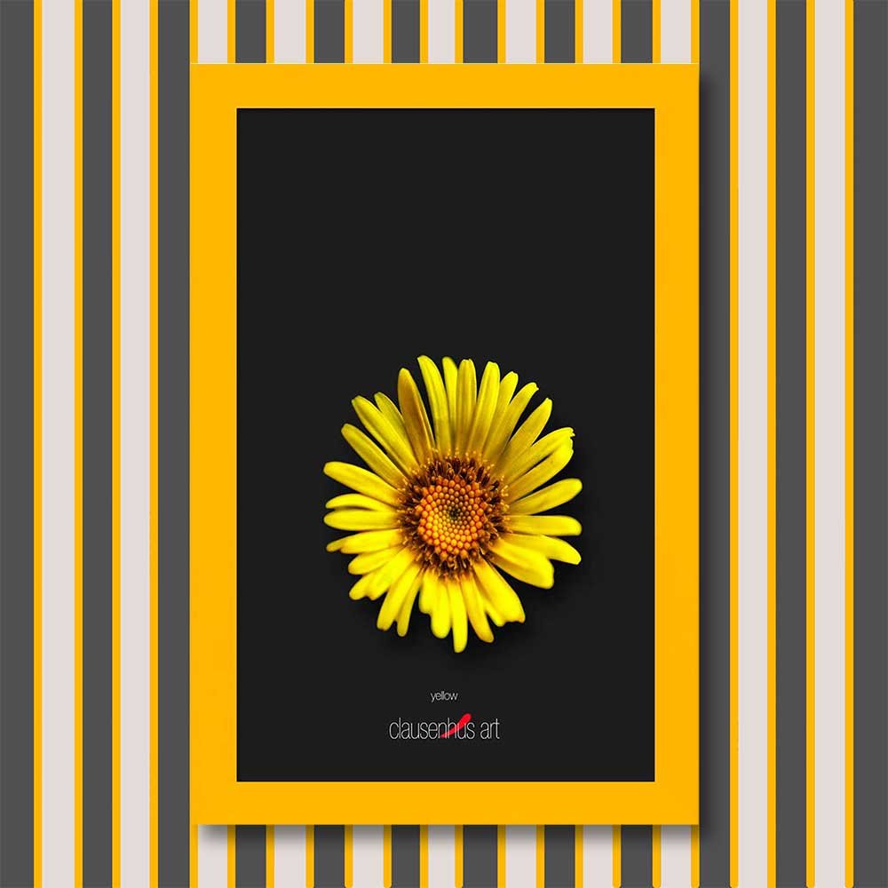 yellow-copy.jpg