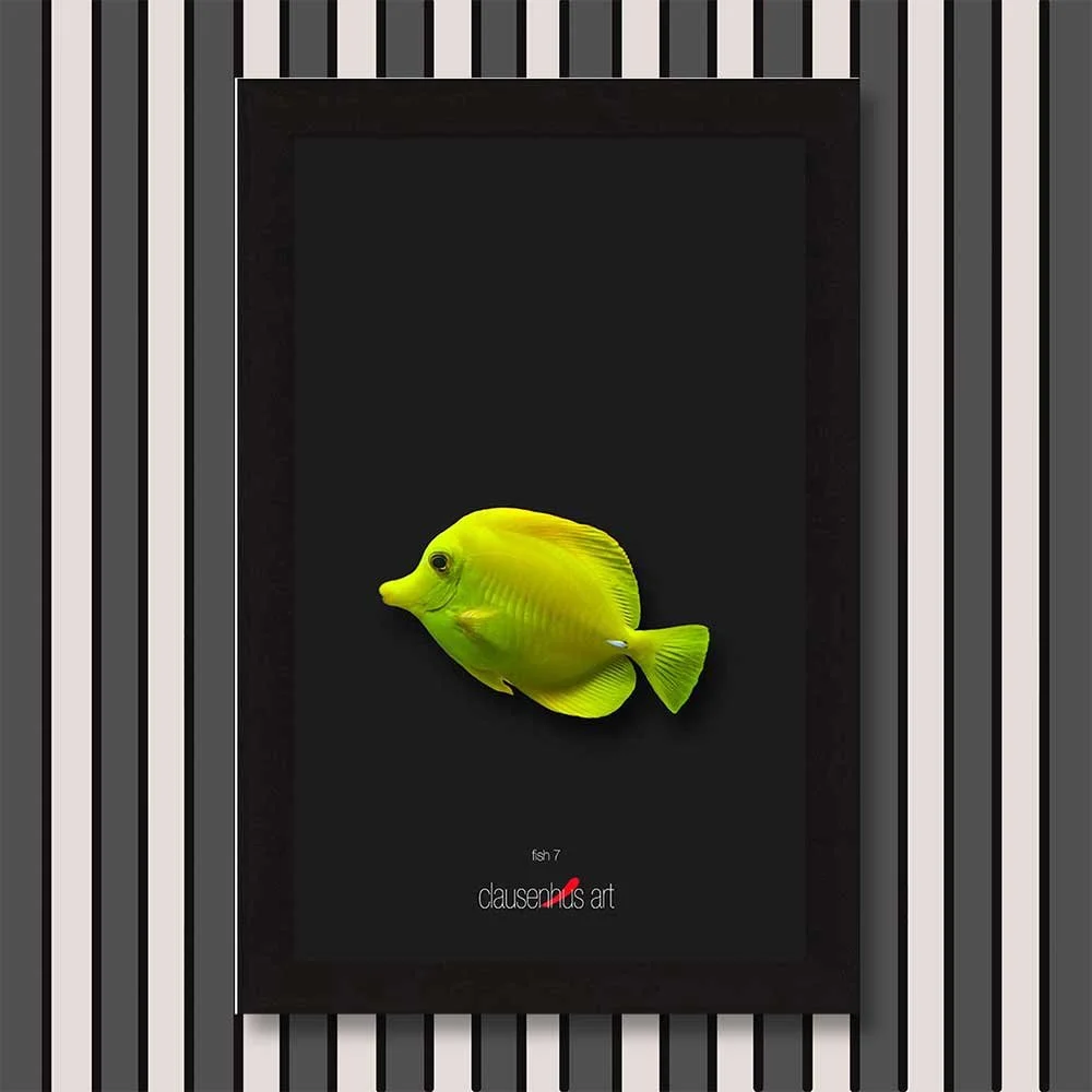 fish-7-copy.jpg