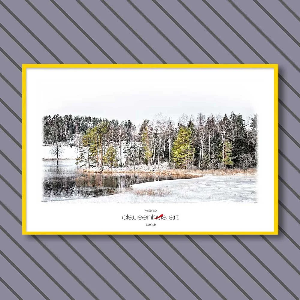 vinter-sø-copy.jpg