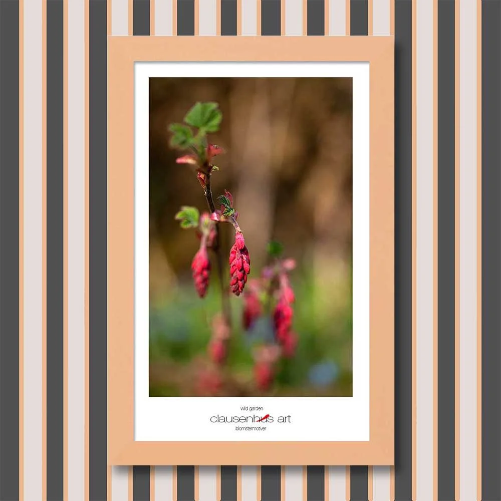 wild-garden-copy.jpg
