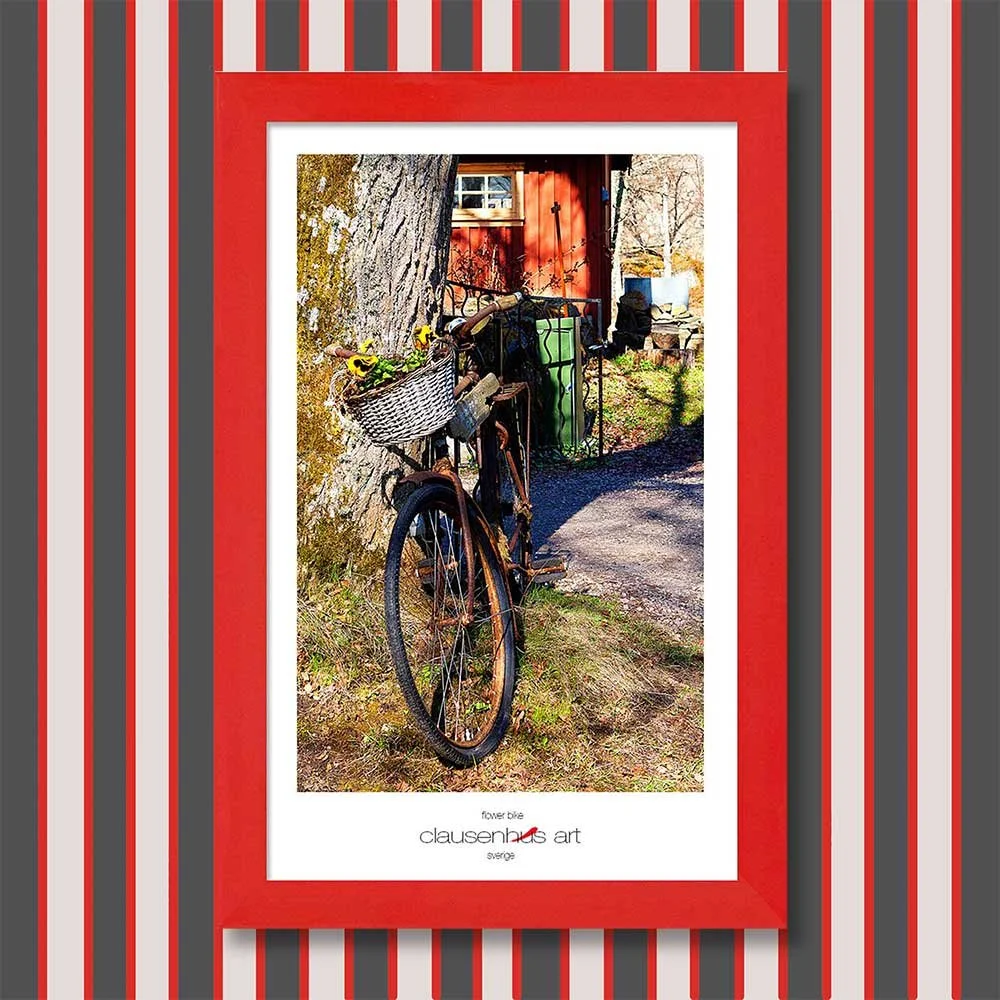 flower-bike-copy.jpg