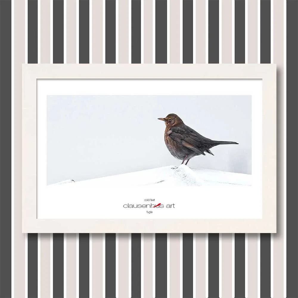 cold-feet-copy.jpg