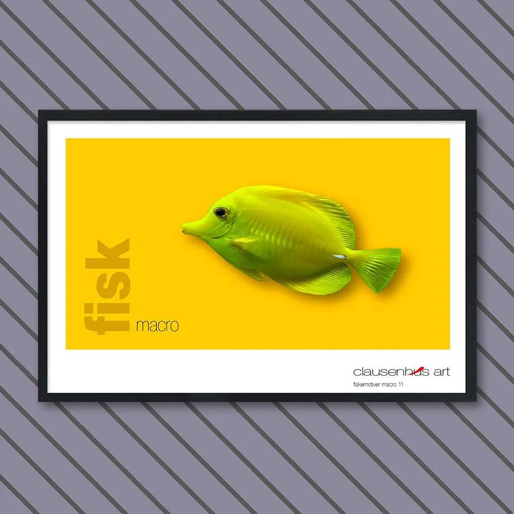 fiskemotiv-11-copy.jpg