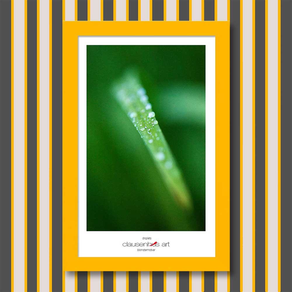 droplets-copy.jpg
