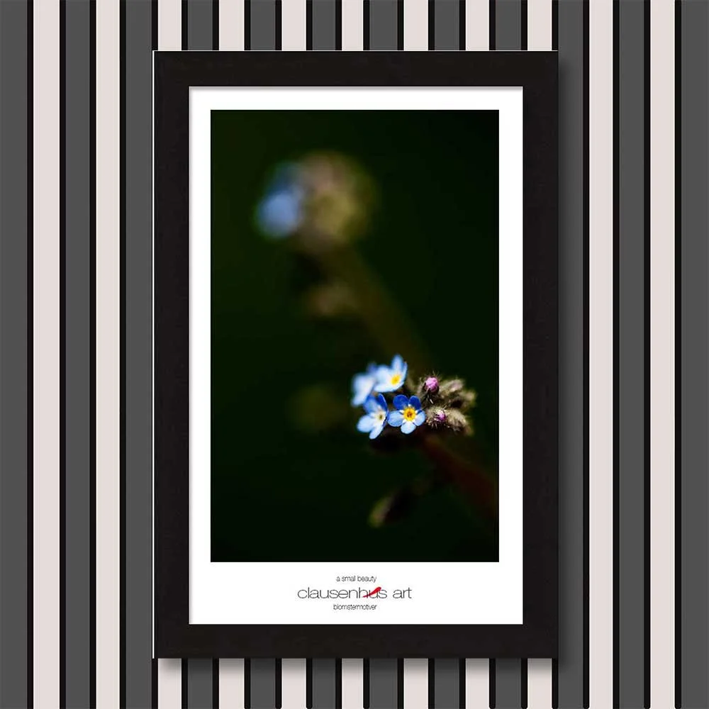 a-small-beauty-copy.jpg