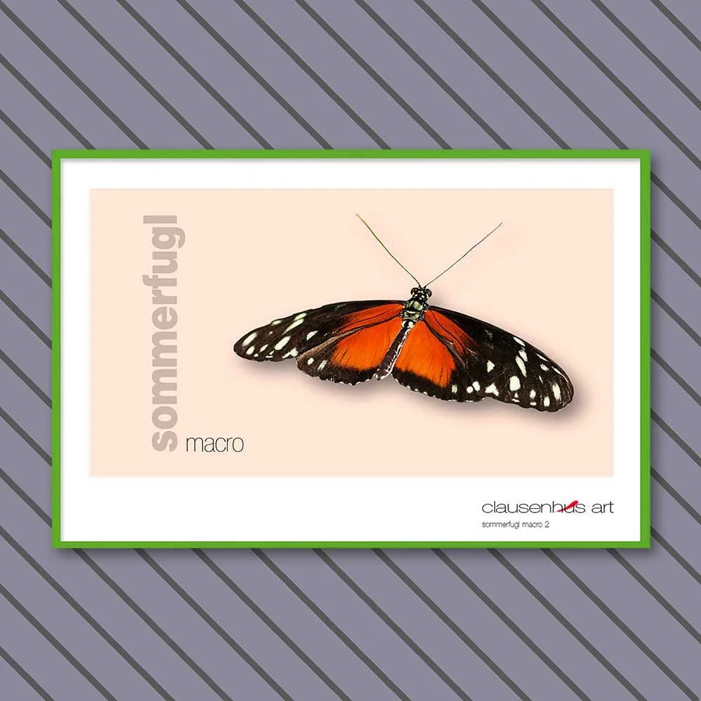 sommerfugl-2-copy.jpg