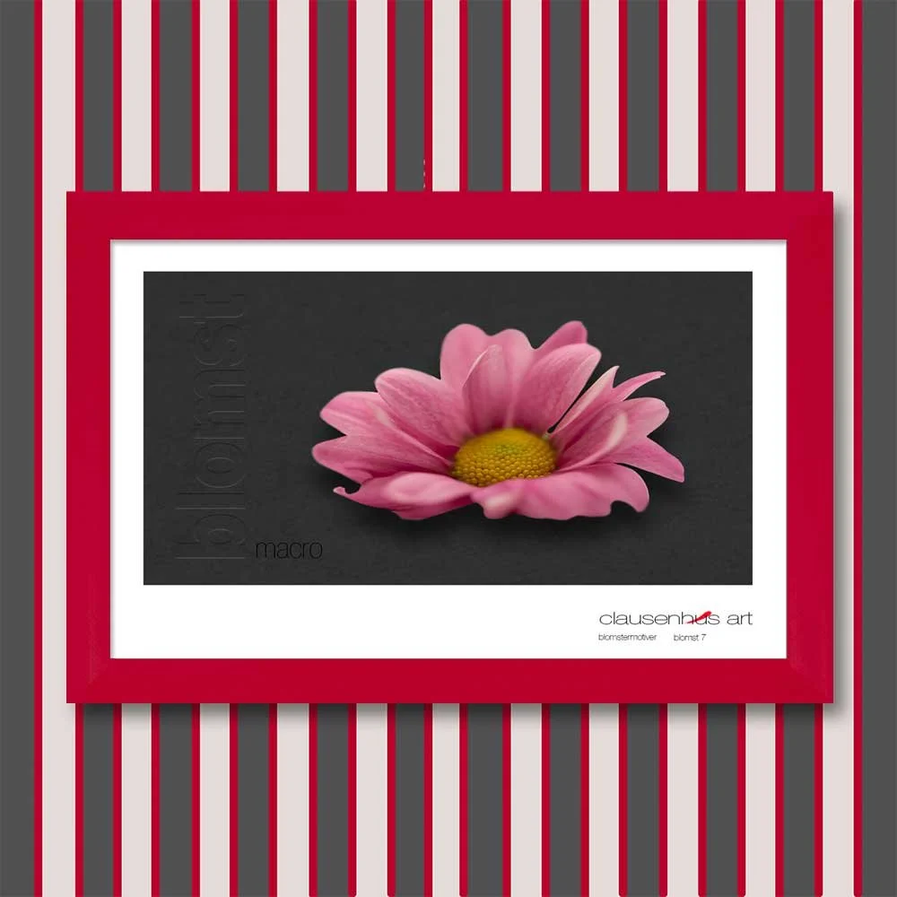 blomst-7.jpg