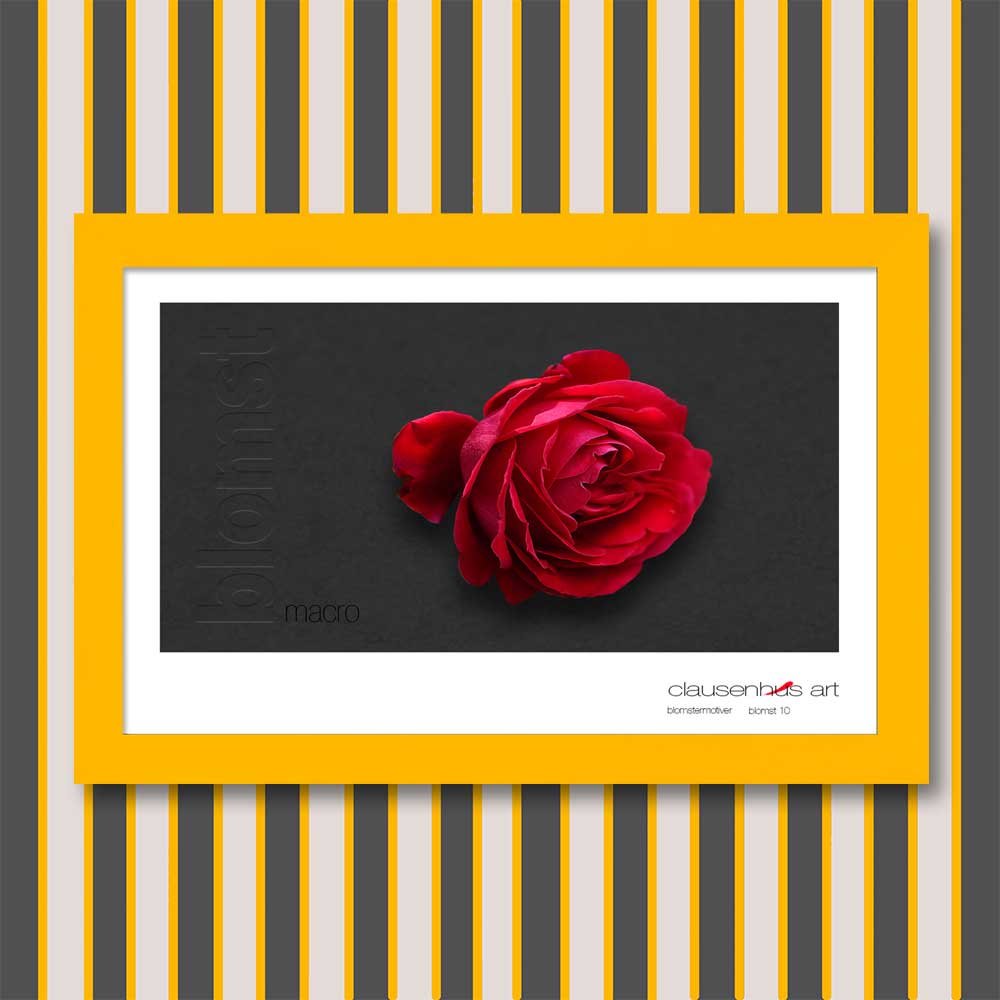 blomst-10.jpg