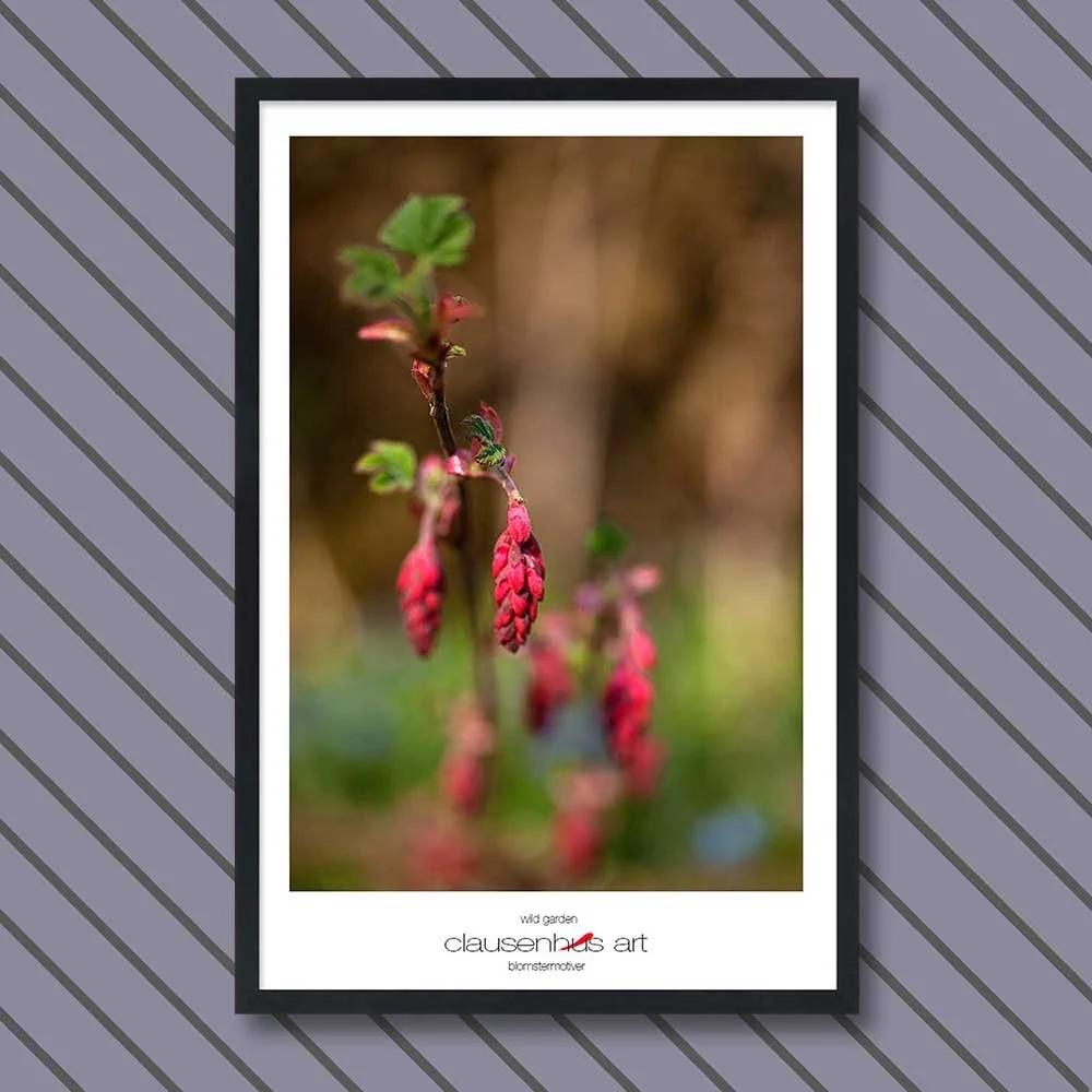 wild-garden-copy.jpg