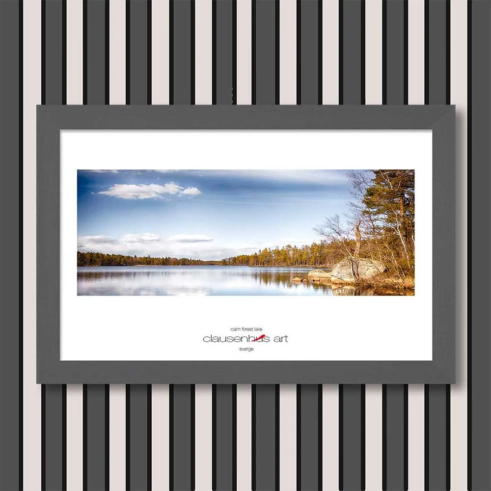 calm-forest-lake-copy.jpg