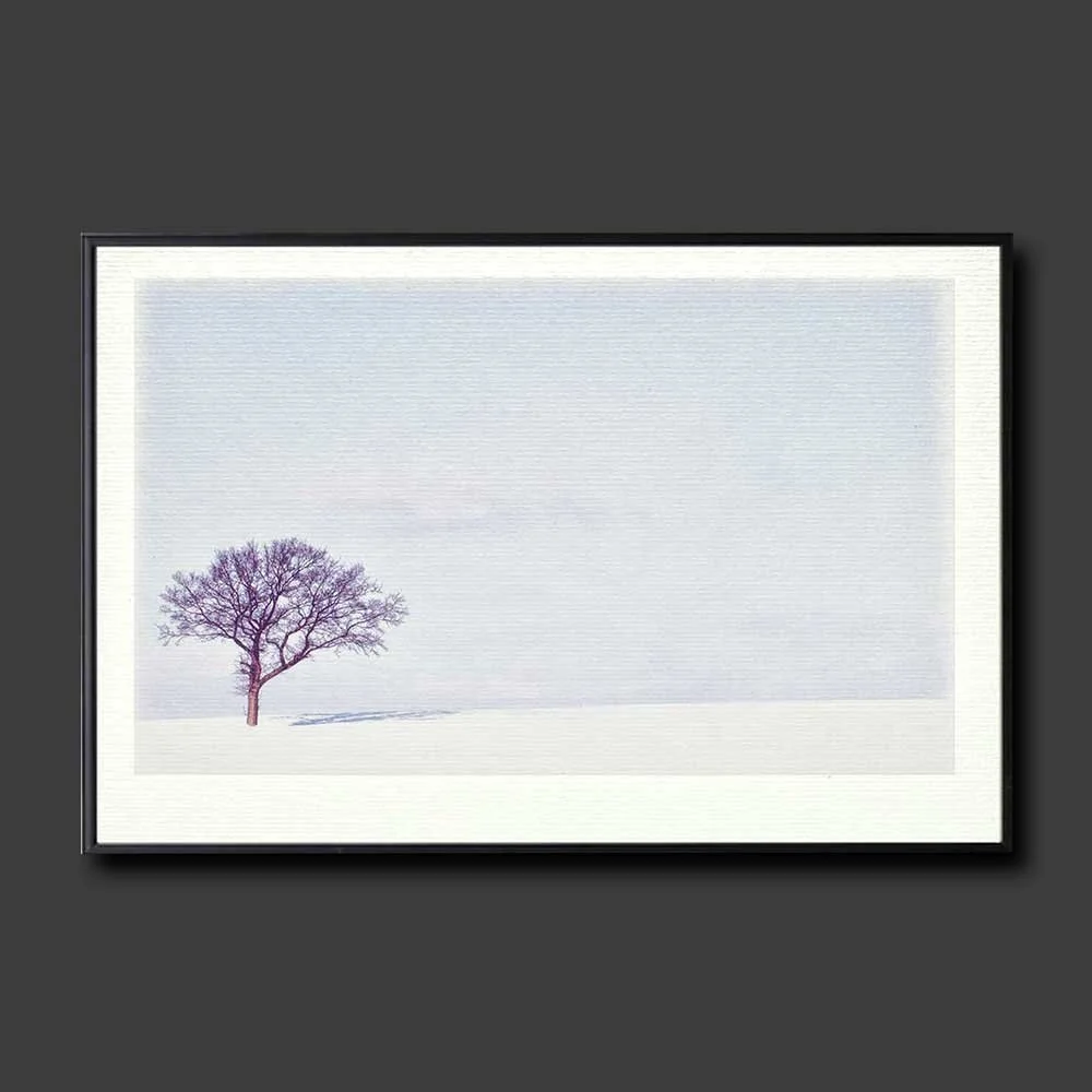 winter-shadow.jpg