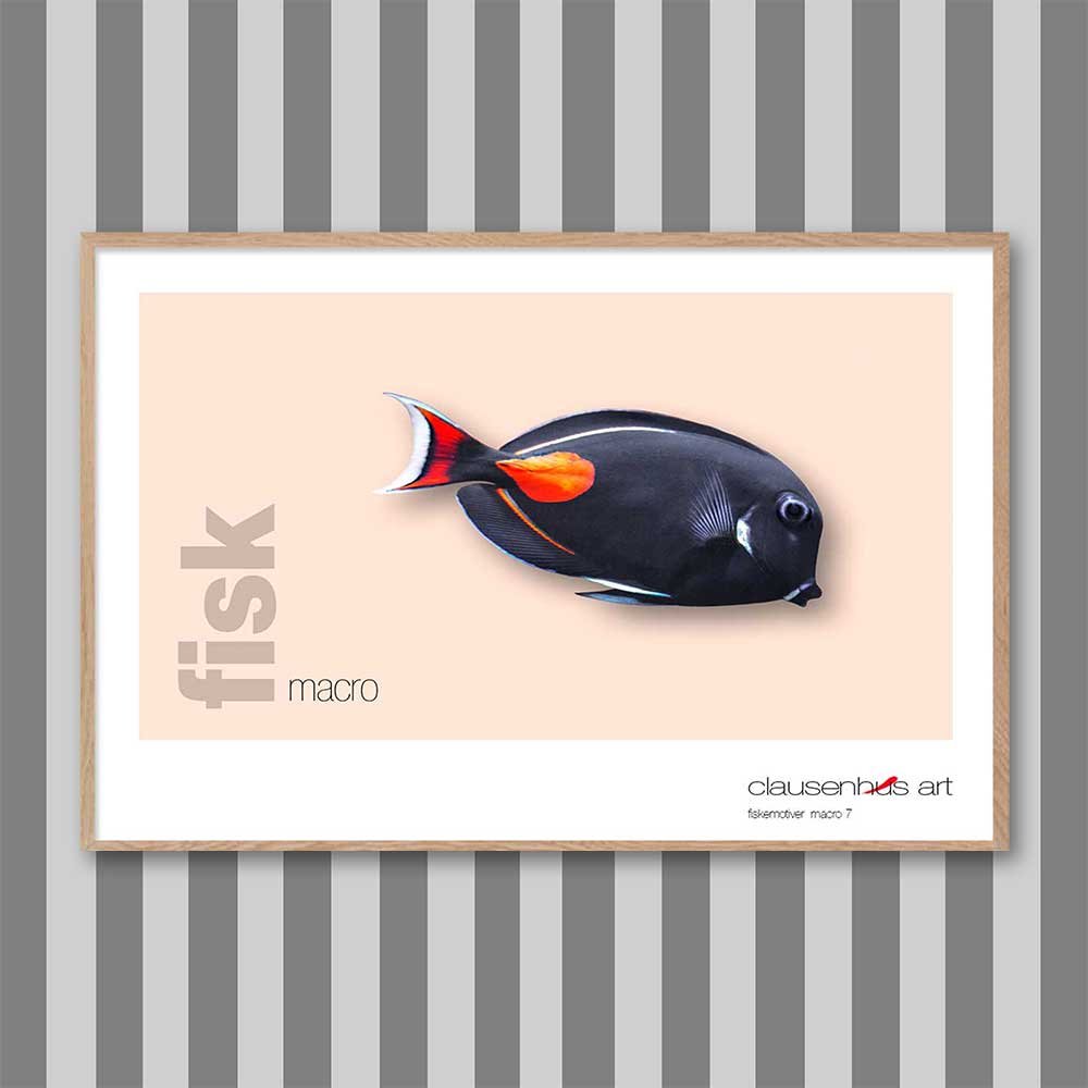 fiskemotiv-7-copy.jpg