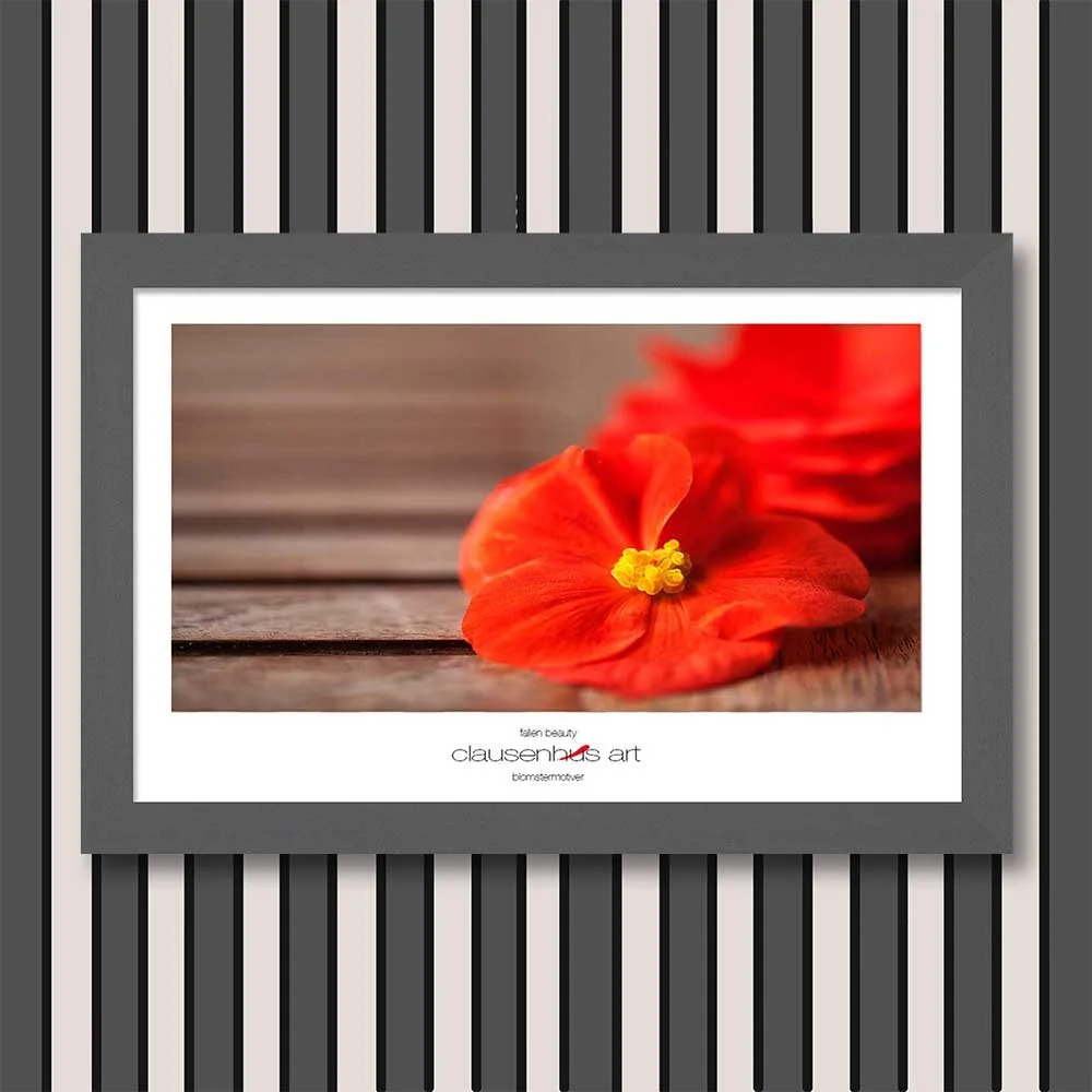 fallen-beauty-copy.jpg