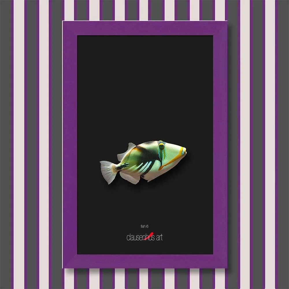 fish-6-copy.jpg