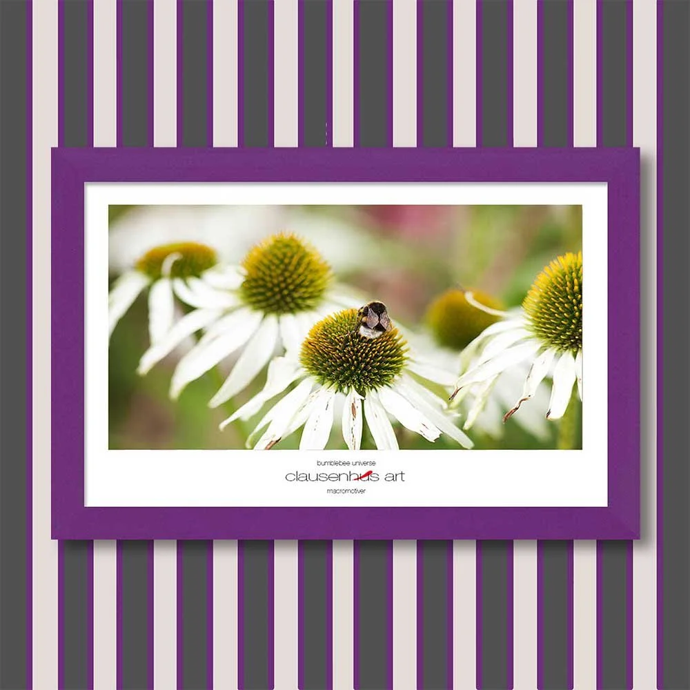 bumblebee-universe-copy.jpg