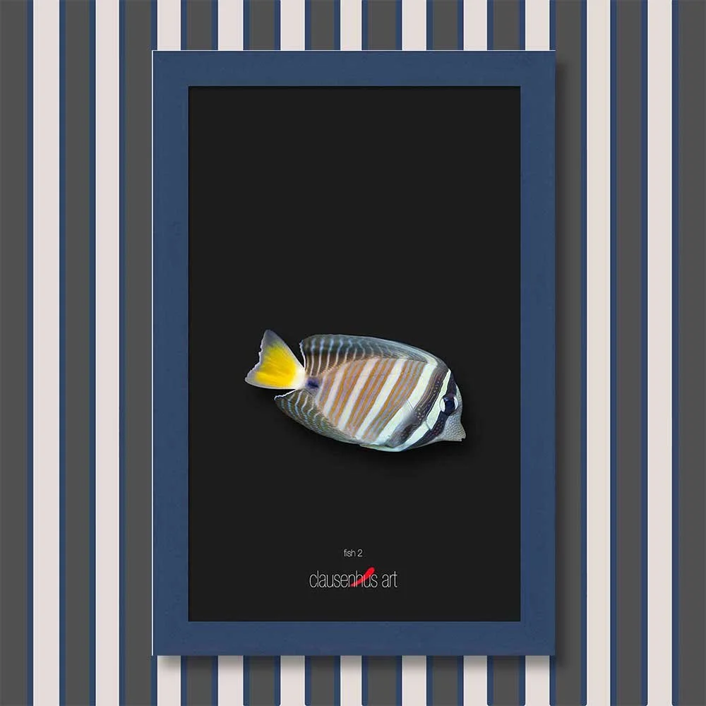 fish-2-copy.jpg
