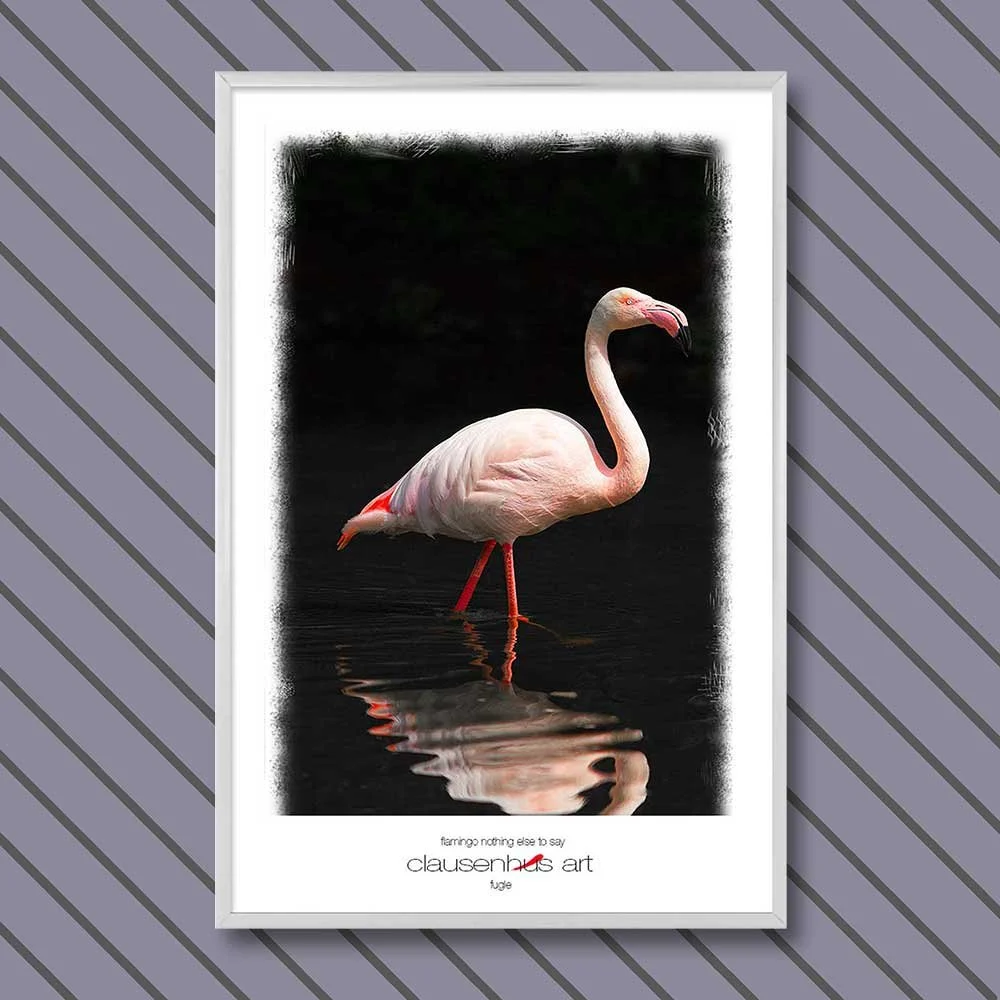flamingo-nothing-else-to-say.jpg