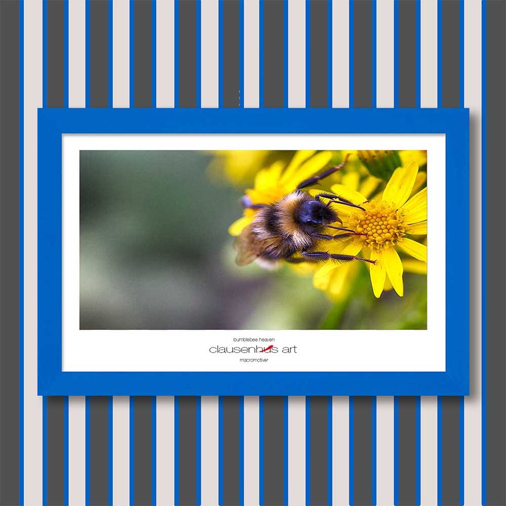 bumblebee-heaven-copy.jpg