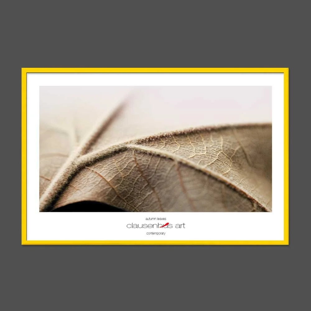 autumn-leaves-copy.jpg
