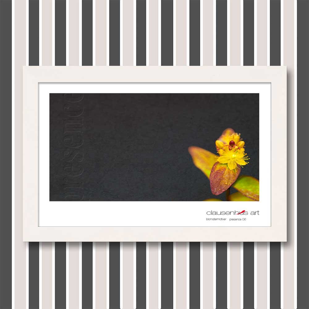 presence-06.jpg