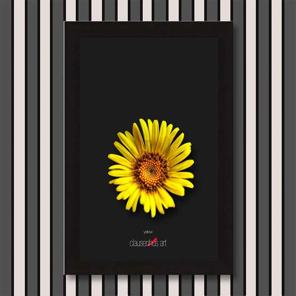yellow-copy.jpg